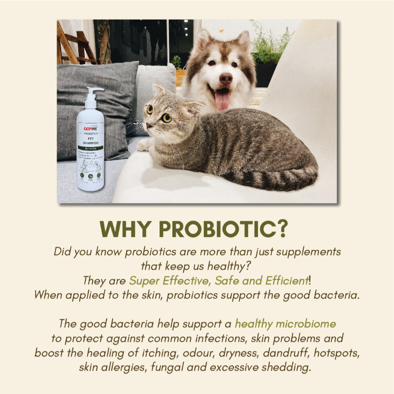 OOMMI Probiotics Pet Shampoo